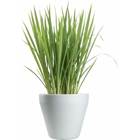Vaso da giardino Purea, bianco, h34,9x39,5 cm