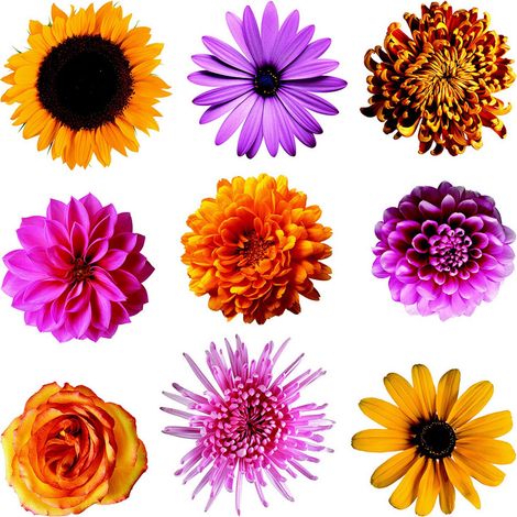 Sticker Fleurs multicolores - 1 planche 30 x 30 cm (1/5)