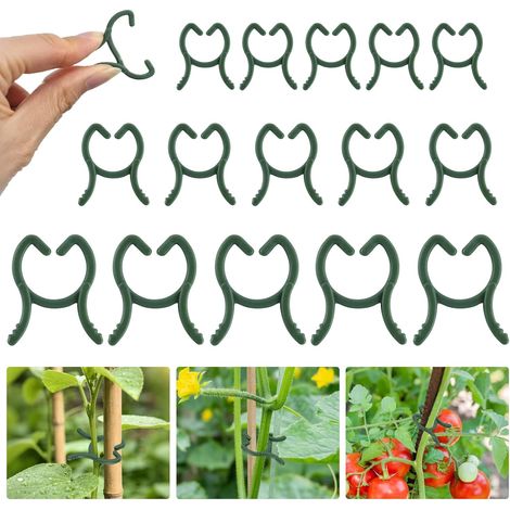 100 Pièces 2 x 2,6 cm Clips pour Plantes Vert, Petites Clip Plante Grimpante, Pinces à Plantes Jardinage, Réutilisables Clips Jardin pour Soutenir Plantes Légumes Fruits (1/5)