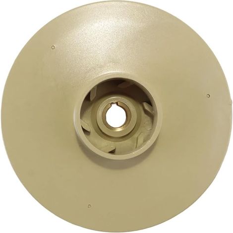 Turbine de Pompe à Eau en Plastique ppo Auto-amorçante Pompe à Eau sous Pression centrifuge pièces de réparation mécaniques (1/5)