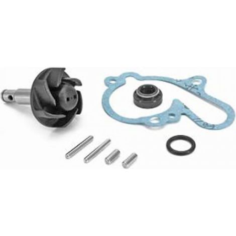 wasserpumpe tnt für motorrad minarelli 50 am6 neu