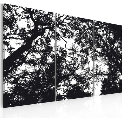 Tableau Imprimé "Forêt Dense" 40 x 60 cm (1/2)