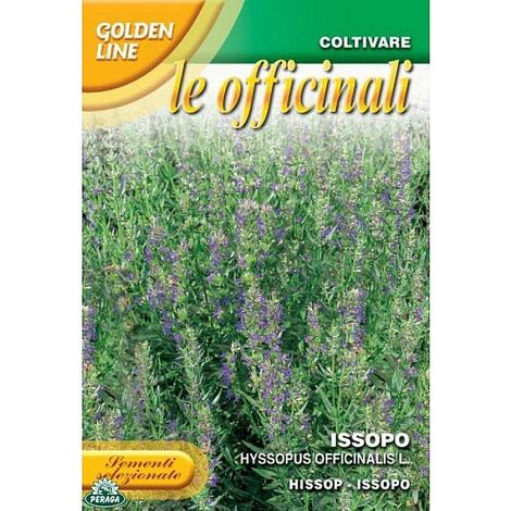 SEMENTI DI ISSOPO OFFICINALE orto giardino semi seeds