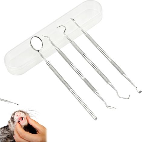 Kit de Nettoyage Dentaire pour Chien et Chat, Détartreur Dentaire 4 Pièces avec Grattoir et Miroir, Outils Anti Tartre en Acier Inoxydable pour Hygiène Buccale avec Boîte (1/5)