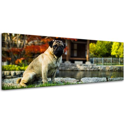 Lienzo impreso con la imagen de un perro carlino (120x40 cm).