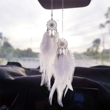 Accessori per interni auto, appendiabiti per auto, accessori per la casa, decorazioni natalizie, piume, acchiappasogni (1/4)
