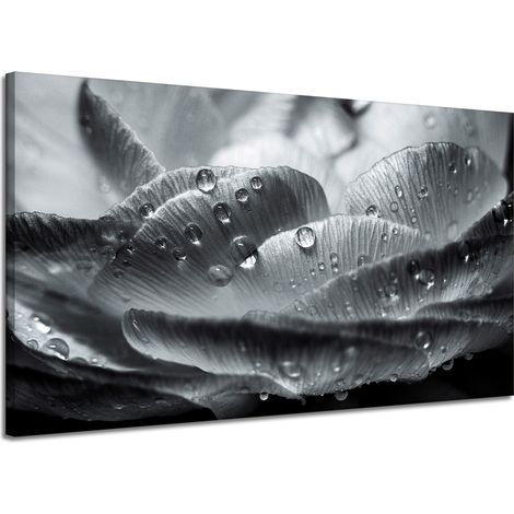 Leinwanddruck Blume in Tautropfen 120x70 cm