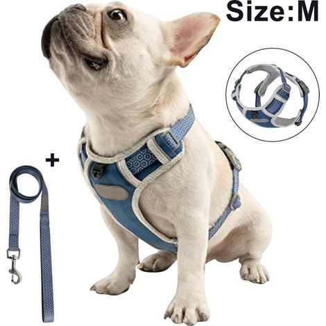Harnais de poitrine pour chien avec corde de traction, gilet respirant pour animaux de compagnie pour la promenade, le dressage et le contrôle en extérieur pour les races moyennes et grandes.