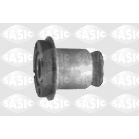 GOUPILLE DE BRAS OSCILLANT 1315785 SASIC