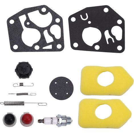 Ressort de régulateur 698719, membrane de carburateur 495770, filtre à air 698369 pour moteurs 3,5-4,5 CV série 450-600 L (1/5)