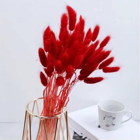 40 herbes de la pampa séchées - Pas d'odeur - Fleurs séchées - Ne se fanent jamais - Décoration florale naturelle - Décoration bohème - Particulièrement moelleuse (rouge à l'ancienne) (1/3)