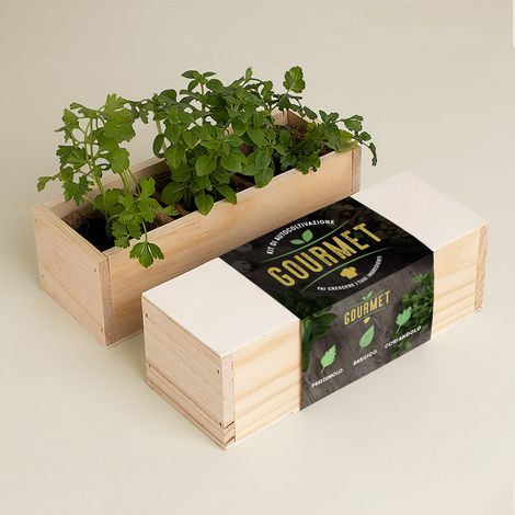 KIT DI AUTOCOLTIVAZIONI GOURMET (PREZZEMOLO, BASILICO E CORIANDOLO) (1/3)