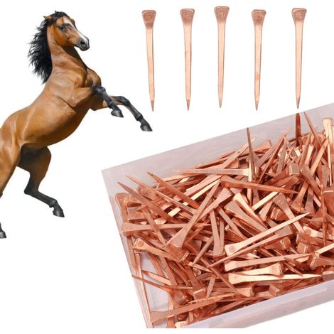 250 Pièces Clous De Fer à Cheval, Outils De Fer à Cheval Plaqués Cuivre Clous De Chaussure De Cheval pour L'entraînement du Cheval équitation De Sports équestres(51mm) (1/5)