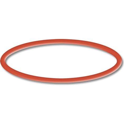 Pièce détachée: SunSun CPP-10000 Pompe de Piscine Joint torique 2 - Pièce détachée: SunSun CPP-10000 Pompe de Piscine Joint torique 2 (1/4)