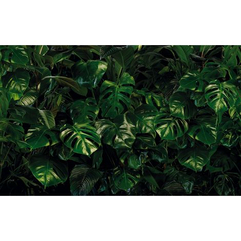 Papier peint panoramique naturel Mur Tropical (1/4)