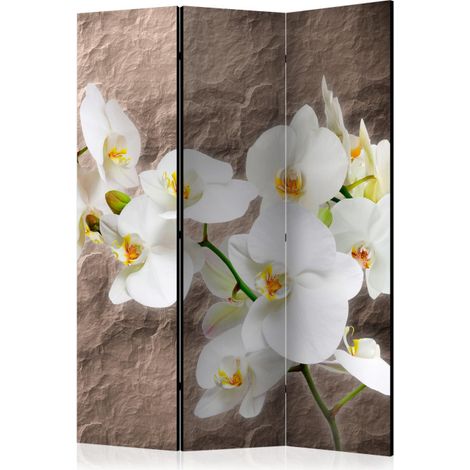 Paravent 3 Volets "Impeccability of the Orchid" 135x172cm (1/2)