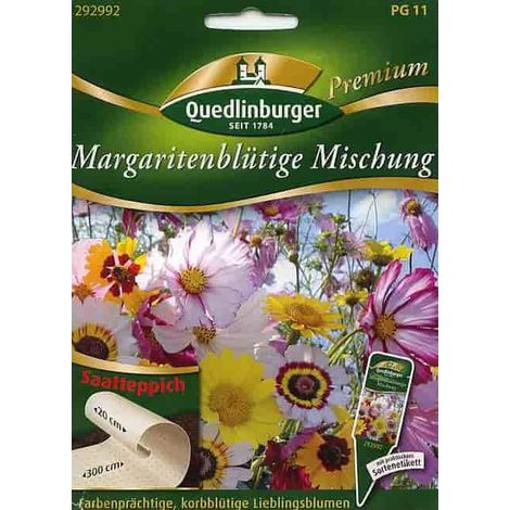 Quedlinburger Margeritenblütige Mischung Saatteppich - Premium Blumensamen (1/2)