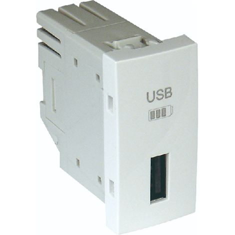 Chargeur USB type A - 1 module pour goulotte - Couleur matériel - Blanc