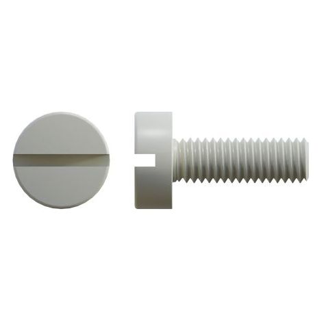 Vis à tête Cylindrique fendue, Nylon, M5, 20mm ( Prix pour Sachet de 100 )