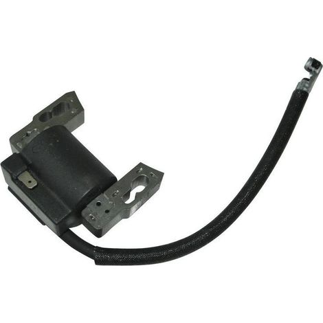 Bobine d'allumage Briggs & Stratton 797040 : Bobine d'allumage haute tension, bobine d'allumage adaptée aux moteurs Briggs & Stratton, assurant l'allumage. (1/2)