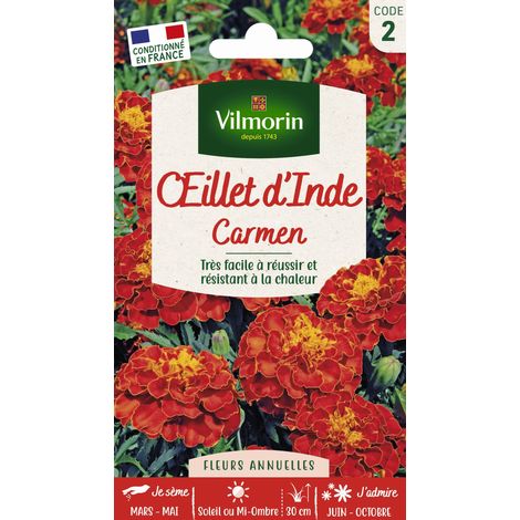 Vilmorin - Oeillet d'Inde Carmen (1/3)