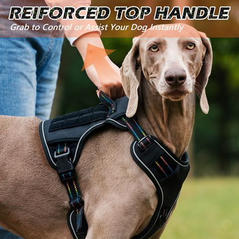Harnais tactique pour chien, gilet réfléchissant réglable avec poignée renforcée, Clip avant Anti-traction pour animaux de compagnie, pour l'entraînement en sortie (1/5)