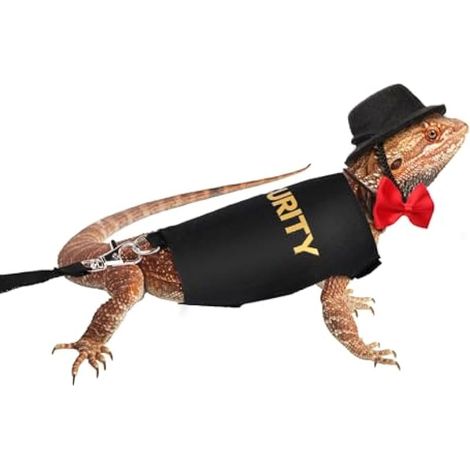 Harnais et laisse pour dragon barbu, réglable, avec chapeau en feutre et nœud papillon, accessoires pour reptiles, amphibiens, caméléons, petits animaux, promenade en extérieur.