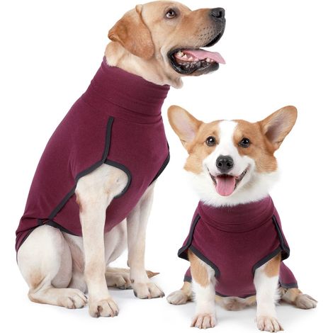 Manteau Chien Polaire Pull Chaud pour Grand Moyen Petit Chien Vêtement Élastique Respirant Combinaison Pyjama Chien avec Ouverture de Laisse (1/5)