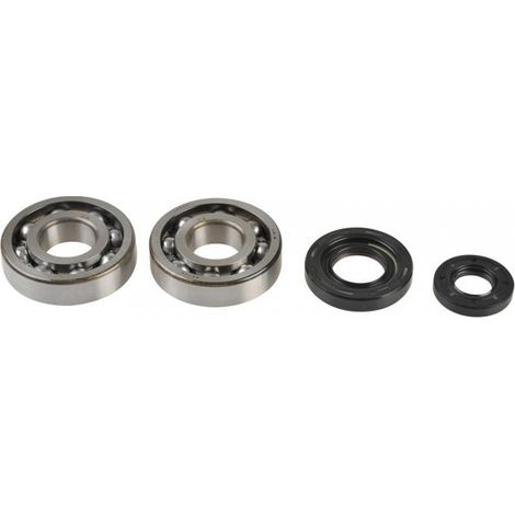 lager oder dichtung spi motor athena für auto 250 nach 2001