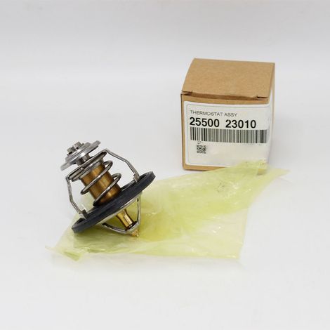 La référence 2550023010 convient aux thermostats de liquide de refroidissement des moteurs Hyundai Santa Fe, Sonata, Kia et Ford. (1/4)