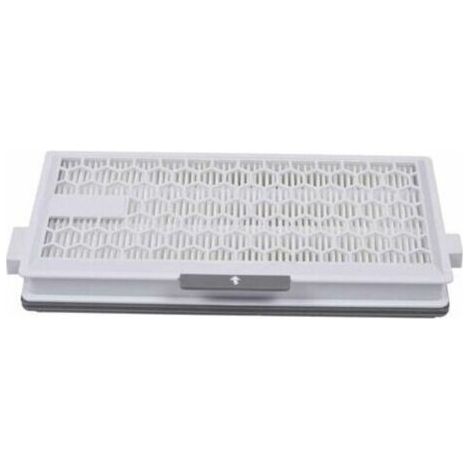 Lot de 2 filtres HEPA Airclean Plus 50 pour aspirateur Miele Complete C3 Powerline, S8340,Air Clean SF-HA 50 pour Complete C2 C3 Compact C1 C2-2,Lot de 2 pièces de rechange