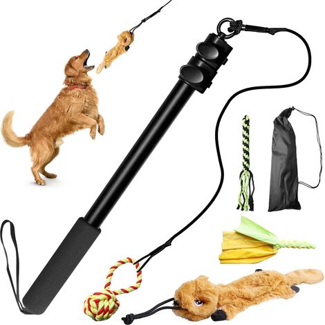 Stimulating Dog Fishing Rod: fishing rod for small medium and large dogs with spare rope,for indoor and outdoor fun