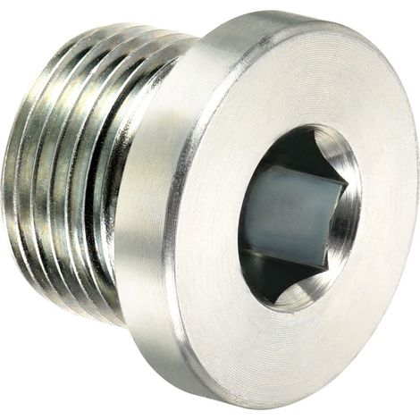 M201.5 Interne Hex Tête Tuyau Raccord Bouchon, Mâle Fil 45 Acier Prise Bouchon avec Bague étanchéité pour Terminer Tuyau Terminaux (1/5)