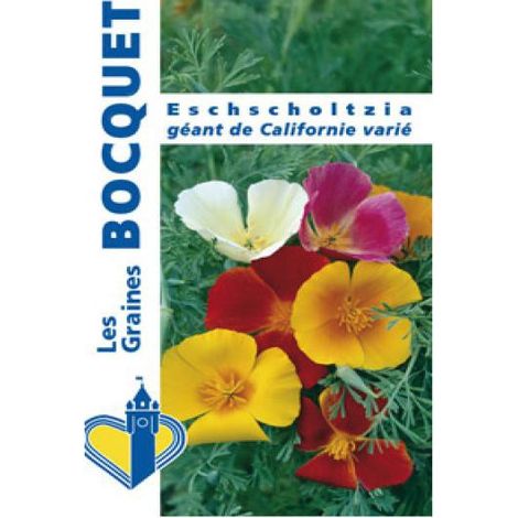 Pavot de Californie en mélange le sachet de 550 graines (1g) (1/2)