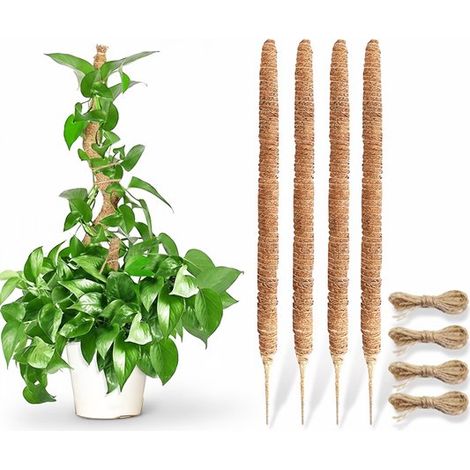 Tuteur en mousse pour plantes – 4x50 cm – Avec cordes en jute – Monstera, Pothos, plantes grimpantes (1/5)