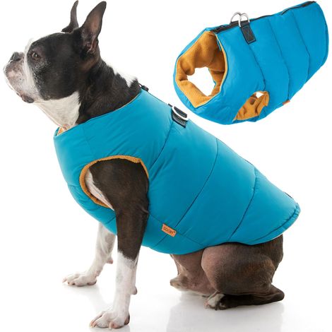 Veste rembourrée pour Chien Turquoise Unie Taille XL Veste Chaude à Fermeture éclair avec Laisse Double Anneau en D Pull résistant à l'eau pour Petit Chien (1/5)