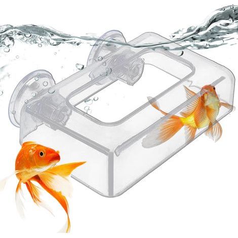 Dispensateur Alimentaire Fixe Anti-dérive - Aquarium Fish Food Feeder - Fish Fheders Pour Nourrir Des Aliments Flottants Ou Des Aliments Squameux, Mais Pas Adapté Pour Nourrir Les Aliments En Percussi