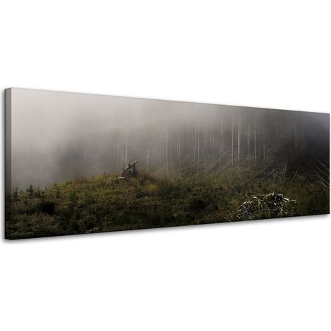 Leinwanddruck Natur Nebel im Wald 120x40 cm