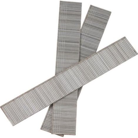 Clous - Acier - 20 mm - Pour Agrafeuse Cloueuse Pneumatique - 1000 Pièces