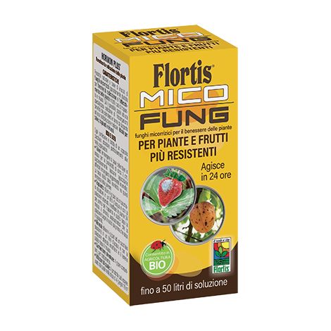 MICO FUNG POLVERE BAGNABILE 100 G