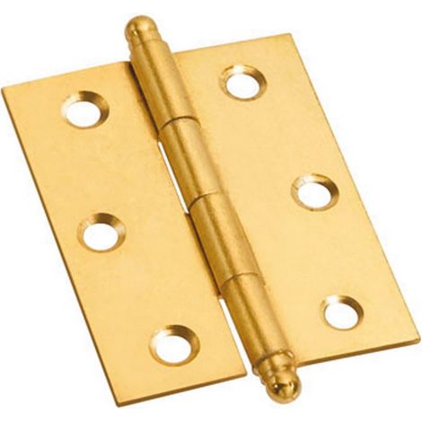 50PZ CERNIERA CON PERNO SFILABILE  in ferro ottonato mm. 40x35