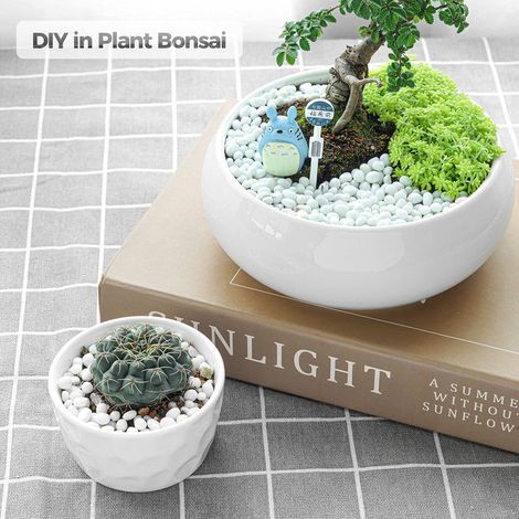 Galets Blancs Décoratifs pour Jardin Gravier Blanc pour Plantes Bonsaï Terrarium et Décoration de Fond d'Aquarium Pierres Naturelles pour Paysagisme Chemin Cour Extérieure