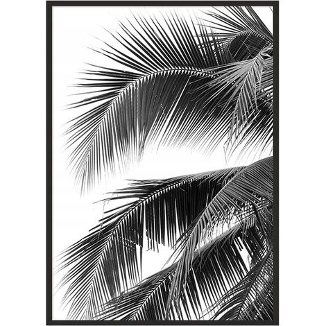 POSTER FOTOGRAFICO IN CORNICE 43x33 cm Palm P689 (1/4)