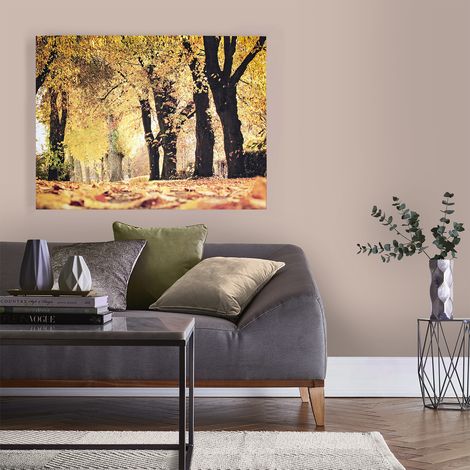 Toile Imprimée Chemin d'Automne 75 x 100cm Jaune, orange