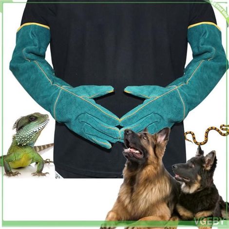 Fafeicy Gants anti-morsures 2 Paires De Gants Anti Morsure Pour Animaux De Compagnie En Toile De animalerie d'aliment Bleu (1/5)