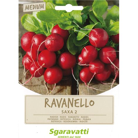SEMI PER ORTAGGI E VEGETALI ravanello saxa 2 Q.TA 20 ravanello saxa 2