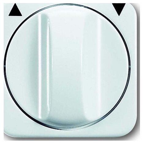 BUSCH-JAEGER 1753-0-2264 PLAQUE DE COMMUTATION ET OBTURATEUR