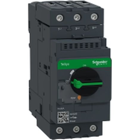TeSys GV - disjoncteur magnétique - 80A - 3P - Everlink - GV3L80