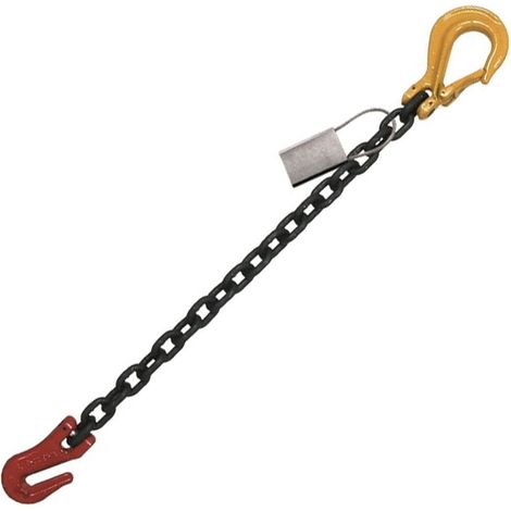 Chaine d'Arrimage Raccourcisseur Crochet à Linguet 8mm PMS