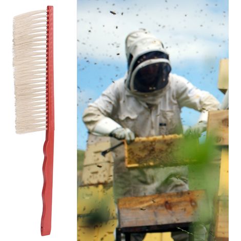 Bienenstockbürste für einreihige Bienenstöcke mit Kunststoffgriff (1/5)